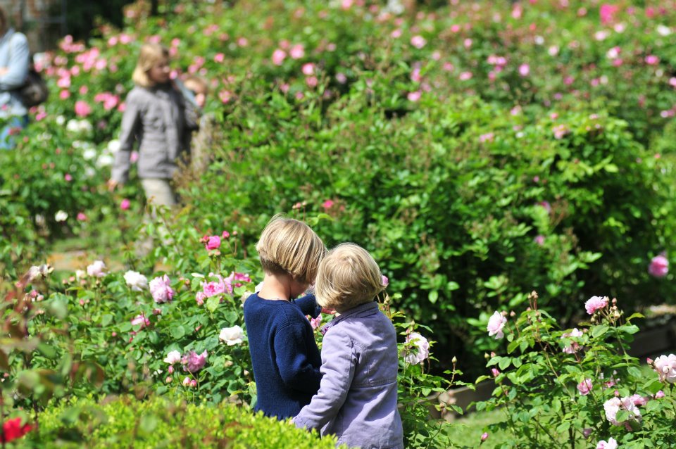 536007_307813482617762_100001673373500_736227_429317589_n